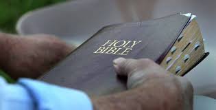 Bible Introduction and Survey